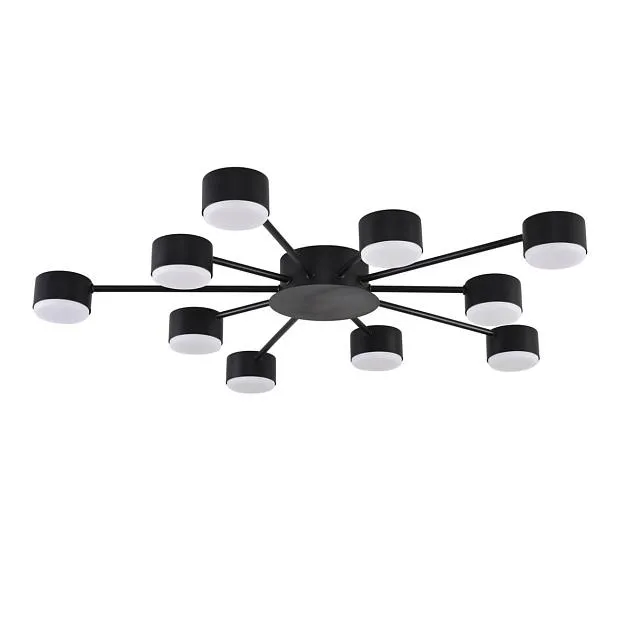 Потолочная люстра Lumion 8344/10C TORINA