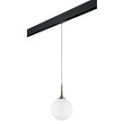 Комплект с подвесом Globo для трека PRO Lightstar PRO813031