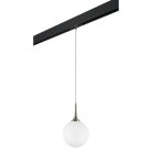 Комплект с подвесом Globo для трека PRO Lightstar PRO813031