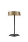Интерьерная настольная лампа DesignLed T-0509-270A-BS-WW JY
