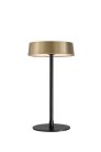 Интерьерная настольная лампа DesignLed T-0509-270A-BS-WW JY