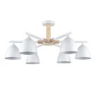 Люстра потолочная Е27 6*60W 220V Lumion 8095/6C COLANGE