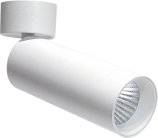 Накладной поворотный светодиодный светильник Donolux DL18895R20W1W ST Rollo