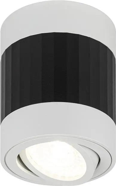 Точечный светильник ЭРА OL34 WH/BK Точечный светильник ЭРА OL34 WH/BK