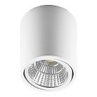 Светодиодный светильник накладной Feron 29575 AL516