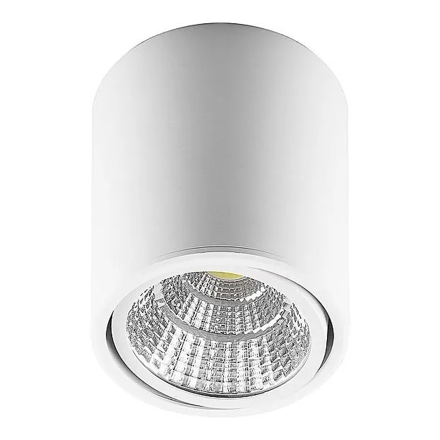 Светодиодный светильник накладной Feron 29575 AL516