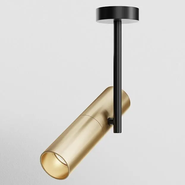 Потолочный светильник Maytoni C020CL-01GB Elti