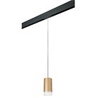 Комплект со светильником Rullo для трека PRO Lightstar PRORP44030