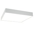Потолочный светильник Maytoni C067CL-L48W3K Zon