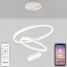 Подвесная люстра LED LAMPS Natali Kovaltseva 81277 Oreol