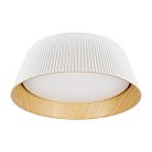Потолочный светодиодный светильник Loft IT 10224 White Evans