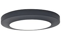Потолочный светильник уличный Oasis Light W3922 Gr SIDNEY LED