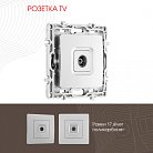 Розетка TV Arte Milano 217.43-1.silver am