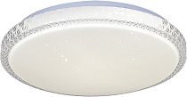 Потолочный светильник Reluce 00038-0.3-48W