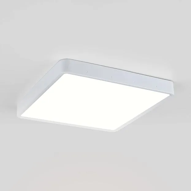 Потолочный светильник Elektrostandard DLS034 24W 4200K Fitta a043018