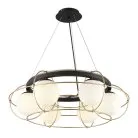 Подвесной светильник Aployt APL.317.03.06 Mahot