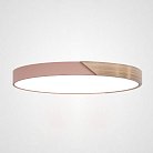 Потолочный Светильник Pink D50 ImperiumLoft 193051-26 Clip01
