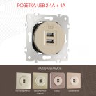 Розетка USB 2.1А+1А Arte Milano 202.46-1.shampan am