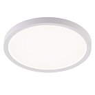 Накладной светильник Natali Kovaltseva LED LAMPS 81113/2C PLAIN