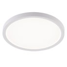 Накладной светильник Natali Kovaltseva LED LAMPS 81113/2C PLAIN
