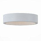 Уличный настенный светильник ST Luce SL562.501.01 MOLTO