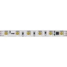 Светодиодная лента 24V 14,4W/m 3100К 5м Arte Lamp A2406010-03-3K SPI