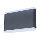 Уличный настенный светильник Arte Lamp A8156AL-2GY LINGOTTO