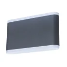 Уличный настенный светильник Arte Lamp A8156AL-2GY LINGOTTO