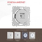 Розетка интернет, RJ45 Arte Milano 202.45-1.silver am