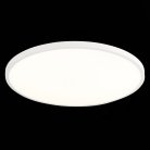 Светильник настенно-потолочный ST LUCE ST601.542.48 ST601