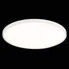 Светильник настенно-потолочный ST LUCE ST601.542.48 ST601