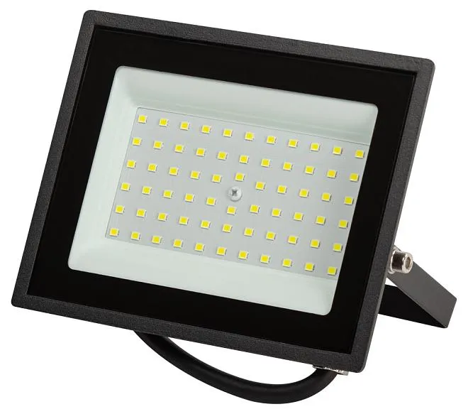 Прожектор уличный ЭРА LPR-023-0-65K-050