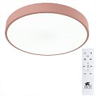 Потолочный светильник Arte Lamp A2661PL-1PK ARENA