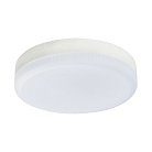 Лампа светодиодная Lightstar 943084 LED