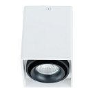 Светильник Потолочный Arte Lamp A5655PL-1WH PICTOR