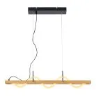 Подвесной светильник Lussole LSP-7197 PRAIRIE