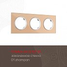 Рамка на 3 поста 502.01-3.shampan Arte Milano am
