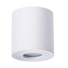 Светильник Потолочный Arte Lamp A1460PL-1WH GALOPIN