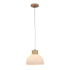 Подвесной светильник Arte Lamp A4184SP-1BR CAPRICE