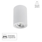 Точечный накладной светильник Arte Lamp A1566PL-1WH SENTRY