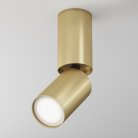 Потолочный светильник Maytoni C051CL-01G FOCUS S