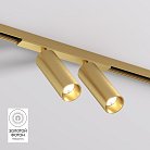 Светильник для трека Denkirs DK5742-SB SHINE SPOT