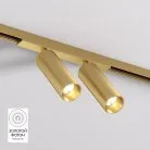 Светильник для трека Denkirs DK5742-SB SHINE SPOT