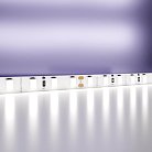 Светодиодная лента Maytoni Led Strip 20021