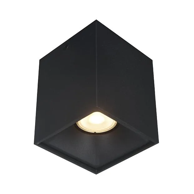 Светильник потолочный ST-Luce ST168.402.01 Светильник потолочный ST-Luce ST168.402.01