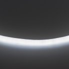 Лента гибкая неоновая Lightstar 430204 NEOLED
