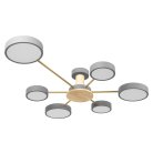 Потолочный светильник Loft IT 10316/6 Grey Sunrise