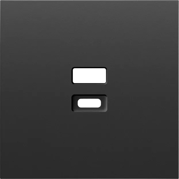 Накладка для розеток USB, черный графит, Donel DS28657 S08 Накладка для розеток USB, черный графит, Donel DS28657 S08