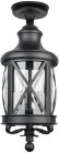 Потолочный светильник уличный Oasis Light 84805A Bl LUCERNA