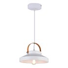Подвесной светильник Toplight TL1225H-01WH Wendi